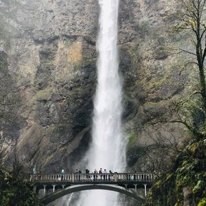 Meet your Posher, Jacqueline